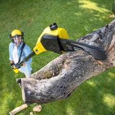 Lawn Irrigation Installation and Maintenance in Elkhart, TX